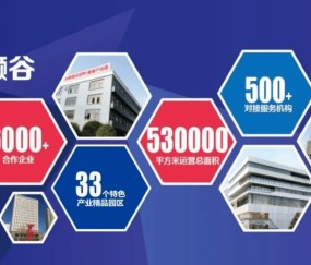  科技赋能训练革新，数据分析助力球队